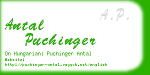 antal puchinger business card